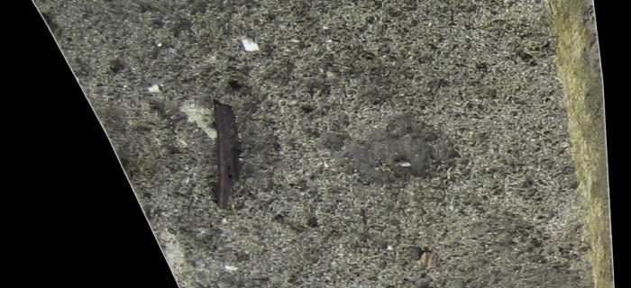 Tumba de Castilla_20